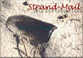 strand-mail Copyright: U.Eberth